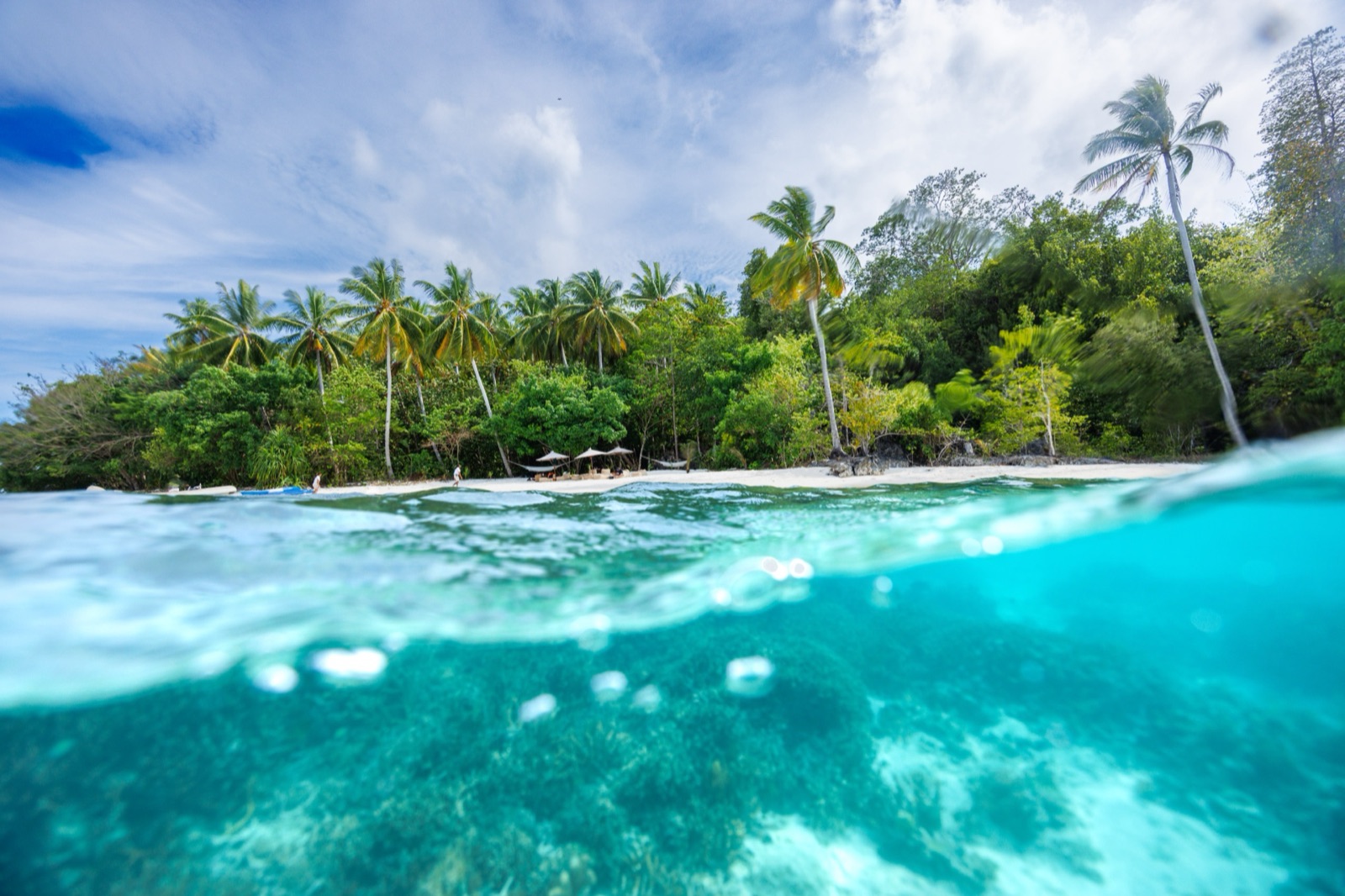 Raja Ampat — Indonesia 2024.